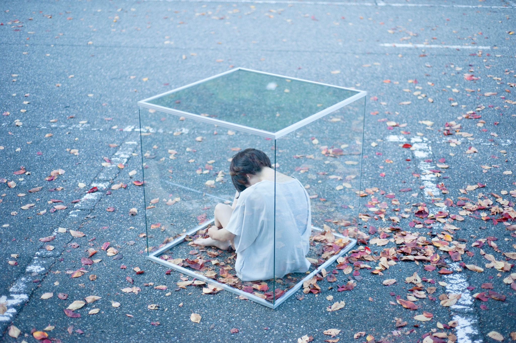 Portrait, One Woman Only, Glass Box, Fallen Leaves, Rear View